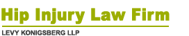 lead poisoning Law Firm | Levy Konigsberg LLP